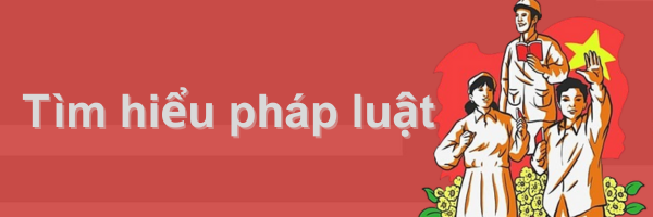 Tìm hiểu pháp luật